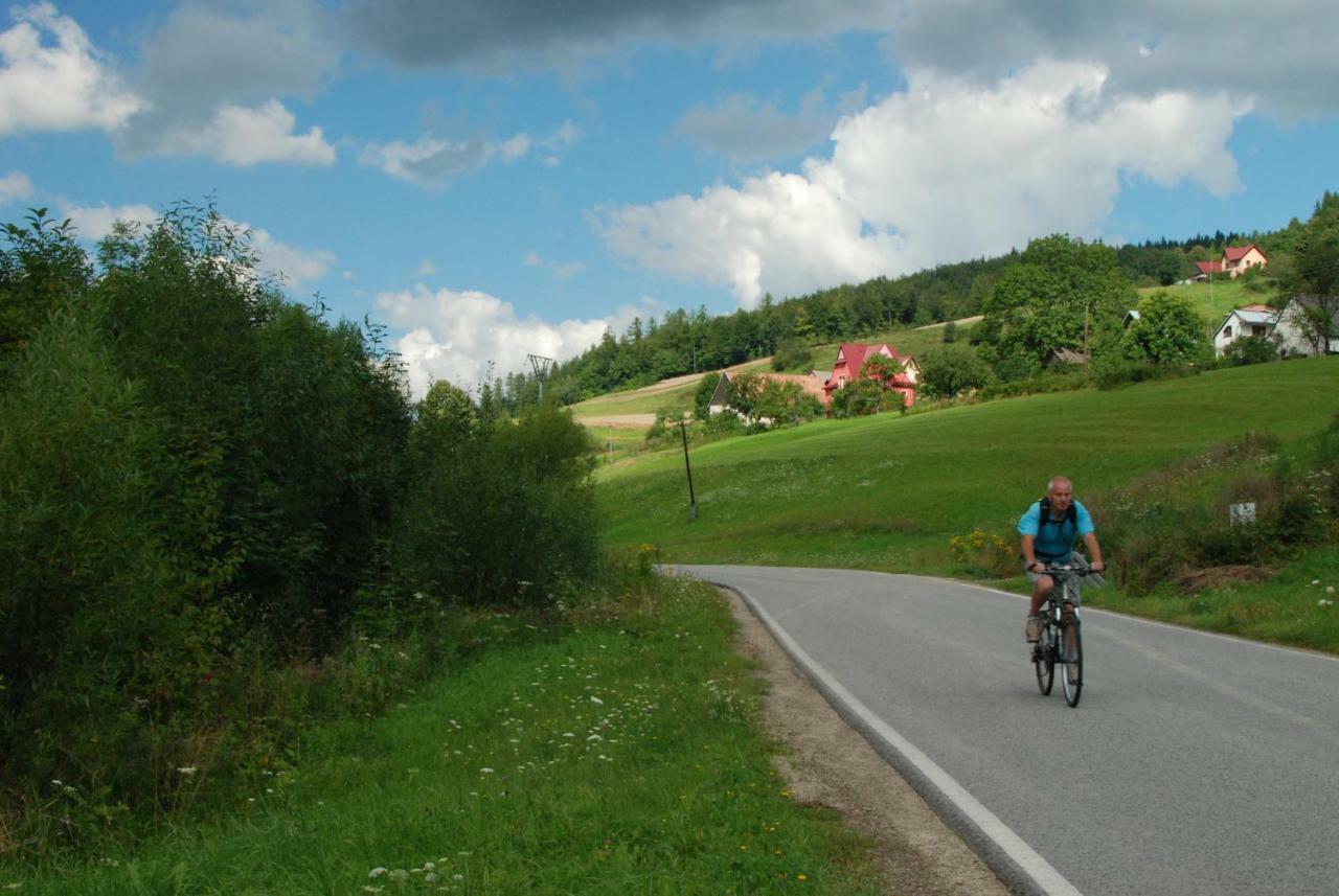 Malinowy Domek Mlynczyska Exteriér fotografie