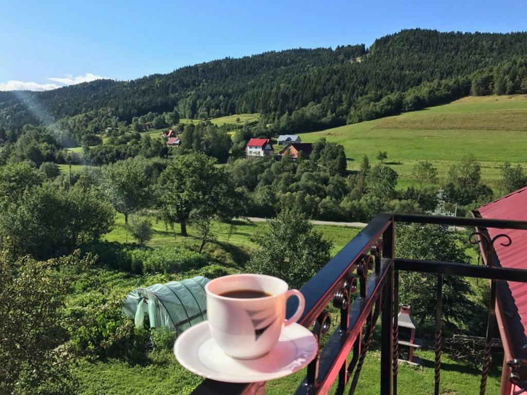 Malinowy Domek Mlynczyska Exteriér fotografie