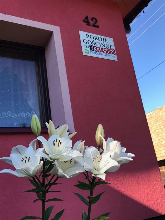 Malinowy Domek Mlynczyska Exteriér fotografie