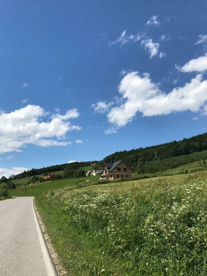 Malinowy Domek Mlynczyska Exteriér fotografie