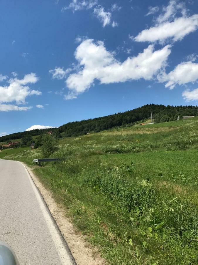 Malinowy Domek Mlynczyska Exteriér fotografie
