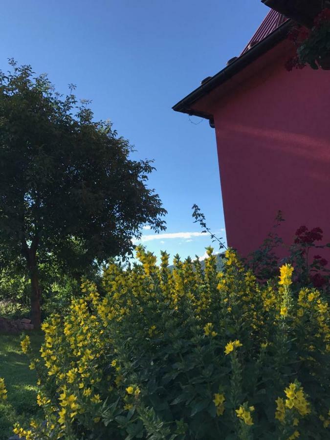 Malinowy Domek Mlynczyska Exteriér fotografie