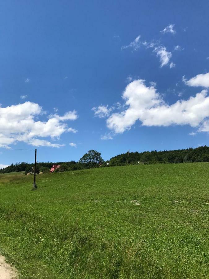 Malinowy Domek Mlynczyska Exteriér fotografie