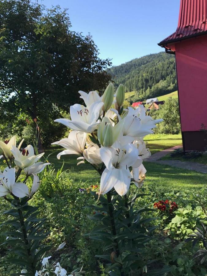 Malinowy Domek Mlynczyska Exteriér fotografie