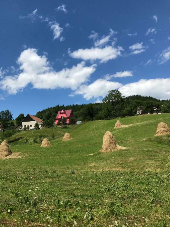 Malinowy Domek Mlynczyska Exteriér fotografie