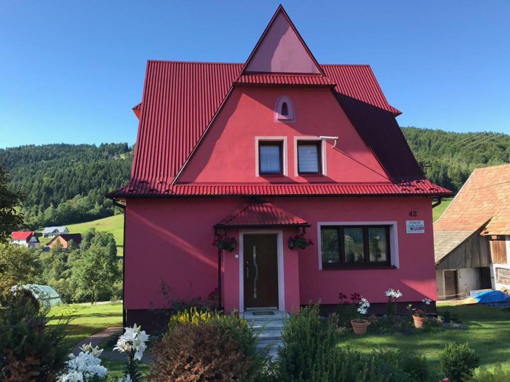 Malinowy Domek Mlynczyska Exteriér fotografie